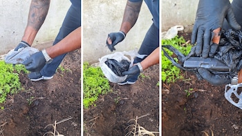 Cayó una banda narco que operaba en Mar del Plata y organizaba robos y estafas desde prisión