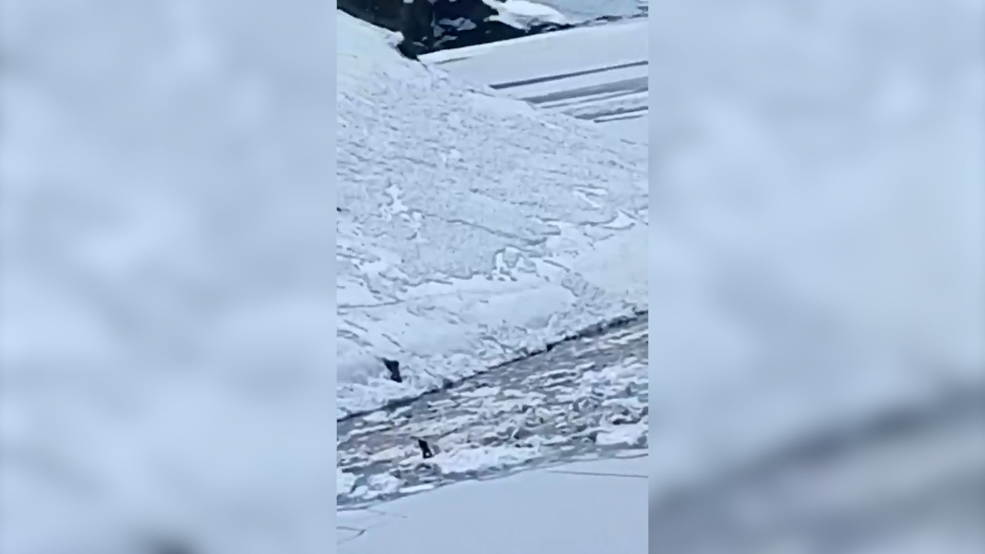 El deslizamiento de nieve ocurrió cerca de las 14:45 horas, en una zona de alta montaña de la región de Valparaíso (Captura de video)