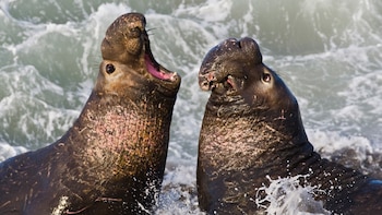 "Con datos sobre la actividad