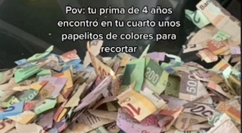 Una travesura que salió cara: