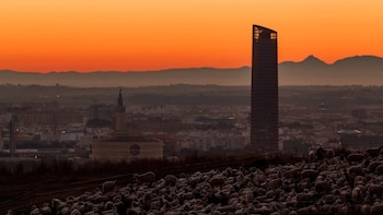 Torre Sevilla cambia de manos: