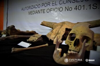 Se rescataron restos humanos y