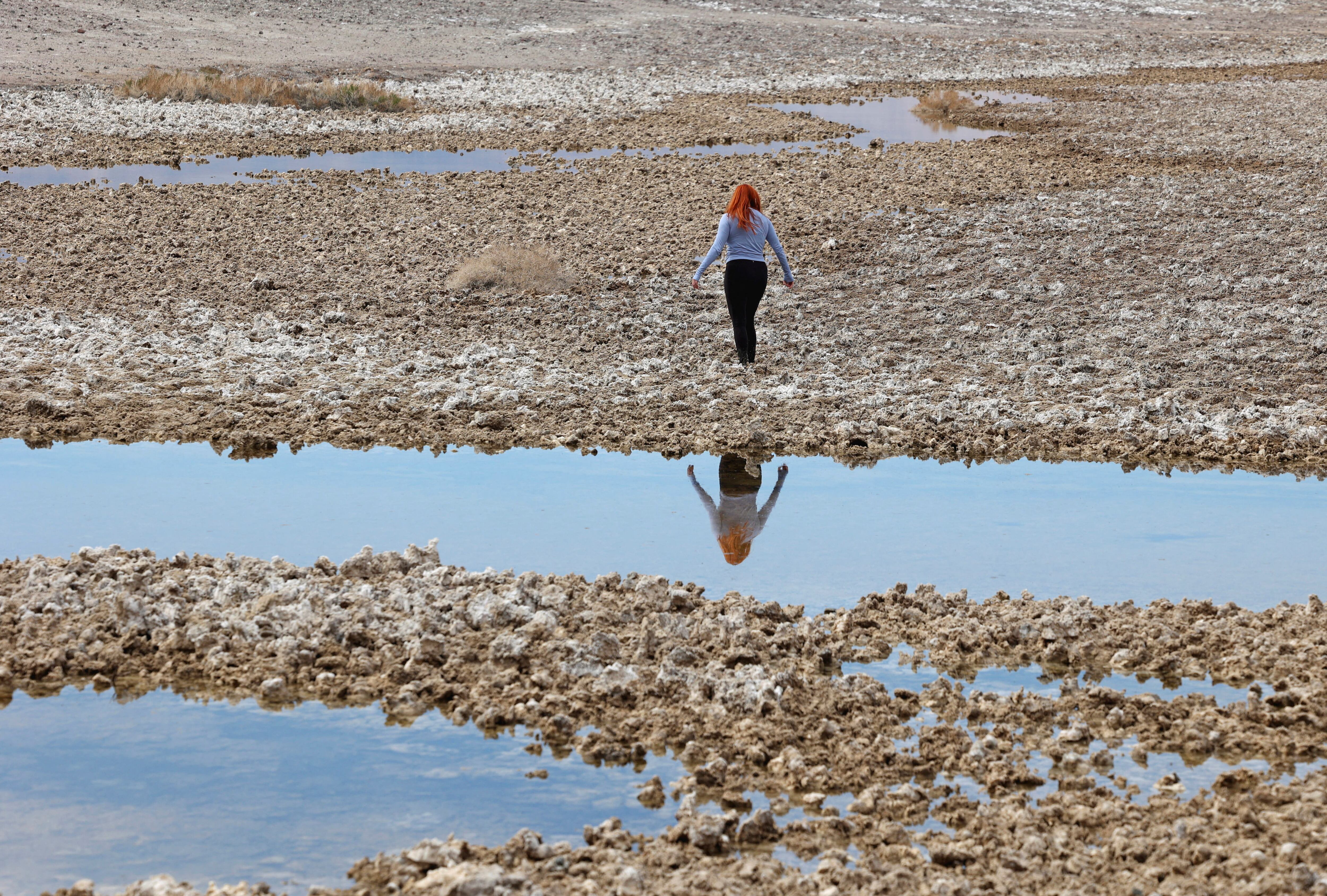 El lago Manly resurge en Death Valley tras lluvias récord que superan el promedio anual del parque nacional. (REUTERS/Ronda Churchill)