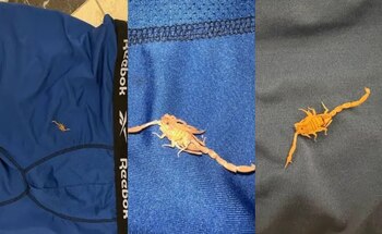 Tras el ataque, el propio