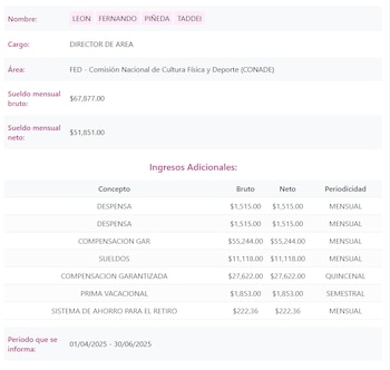 León Fernando Piñeda ocupó el cargo de director de área en la CONADE. (Portal de transparencia)
