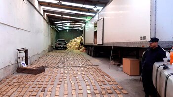 Parte de la marihuana que hallaron en el galpón