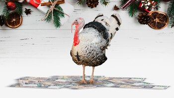 Se espera un repunte en