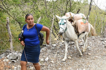 ACOMPAÑA CRÓNICA: GUATEMALA EL NIÑO EL JÍCARO (GUATEMALA), 16/09/2026.- Fotografía del 2 de septiembre de 2026 de una mujer caminando junto a un animal que carga manía (maní), en El Jícaro (Guatemala). Las condiciones de vida en las comunidades de El Jícaro empeoran debido a la falta de vías de acceso, ya que para llegar a las comunidades hay que atravesar cauces de ríos completamente secos y caminos de piedra donde solo es posible transitar a caballo o en vehículos de doble tracción. EFE/ Alex Cruz