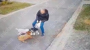 La Justicia elevó la indemnización por el ataque de dos perros a un vecino en un barrio privado de Escobar