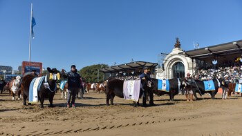 Los grandes campeones de Palermo