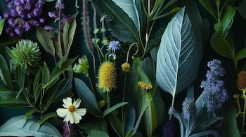 De acuerdo a una investigación,