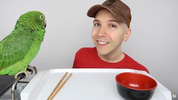 Youtuber Nikocado Avocado