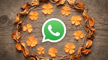 WhatsApp - trébol naranja - app - tecnología - 7 de mayo