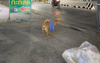 La comunidad del 7-Eleven apoyó