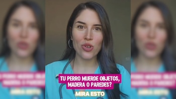 Captura de pantalla de la