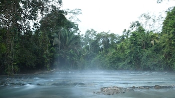 El río Hirviente, o Shanay Timpishka, es un fenómeno geológico sin igual por sus temperaturas extremas, que en algunos puntos superan los 90°C a lo largo de seis de sus nueve kilómetros - Créditos: IIAP- Instituto de Investigaciones De La Amazonía Peruana.