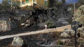 Última hora de los incendios en España, en directo | Diez fuegos activos en el inicio de la ola de calor, con especial cautela en Ávila, Madrid y La Vall d’Uixó (Castellón)