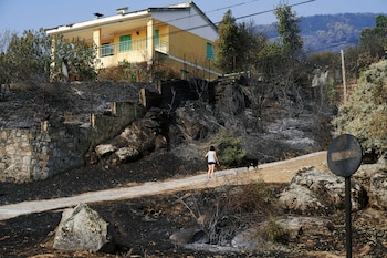 Zona afectada por el incendio de Burgohondo en la localidad de El Tiemblo (Ávila). (EFE/Raúl Sanchidrián)