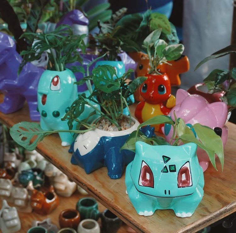 Habrá alternativas desde 25 pesos, lo que abre la posibilidad de llevar una nueva planta a casa sin afectar el presupuesto.(@plantfest.mx)