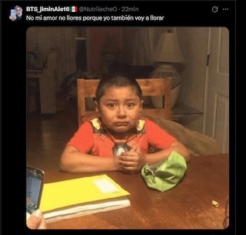 memes hormiga gonzalez -México- 22 agosto