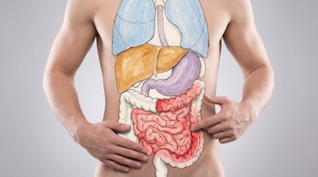 Torso masculino sin camisa con ilustración anatómica superpuesta. Pulmones, hígado, estómago e intestinos visibles. La sección intestinal es roja y las manos señalan el abdomen.