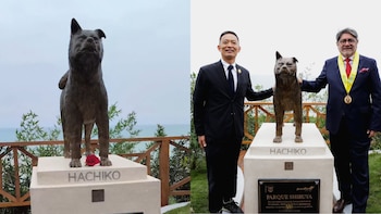 Hachiko, el icónico perro japonés que esperó a su dueño por años, recibe homenaje en nuevo parque de Miraflores