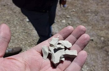 Uno de los exóticos ingreientes