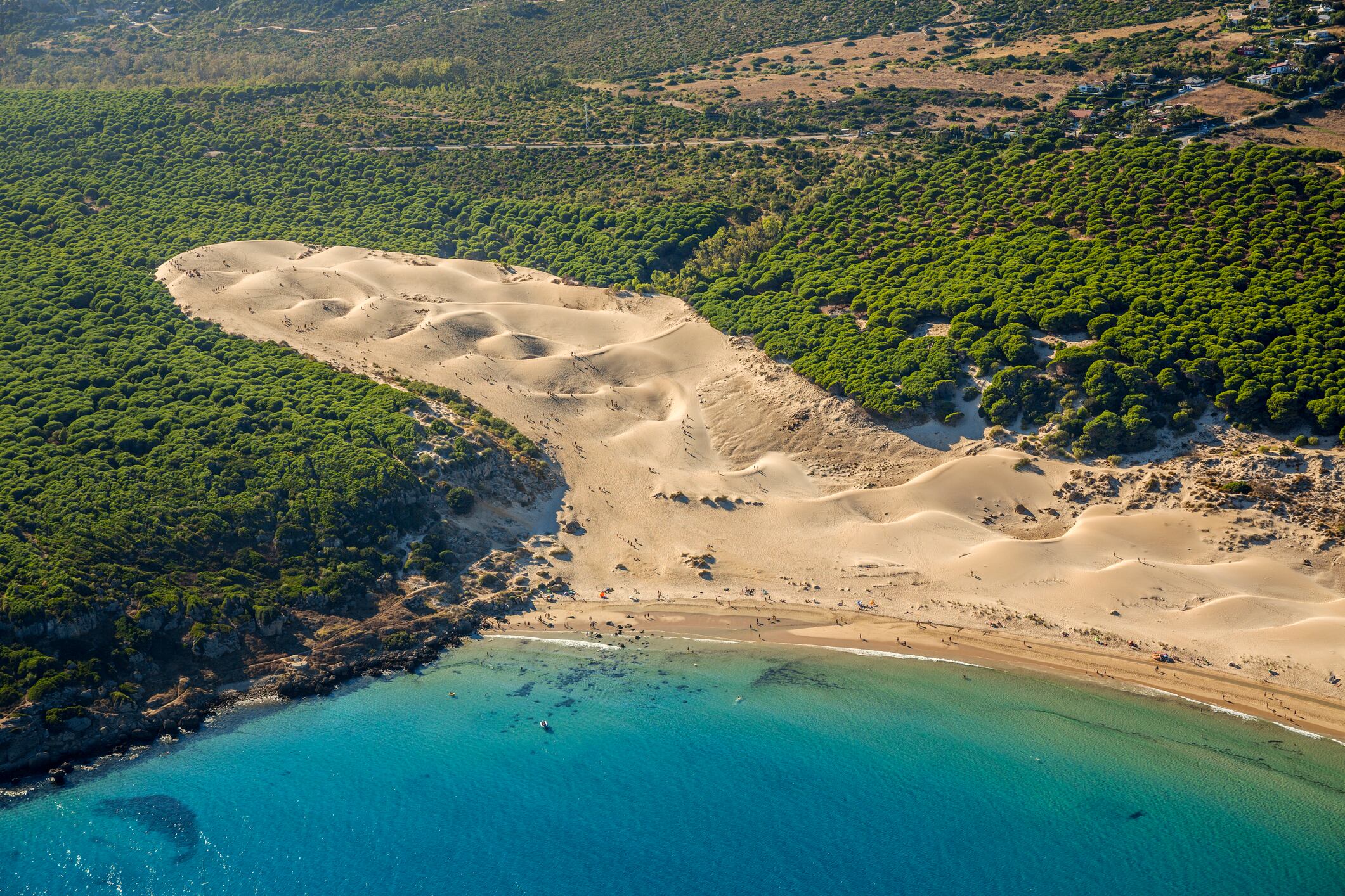 Playa y duna de Bolonia, Tarifa. (Gonzalo Azumendi)