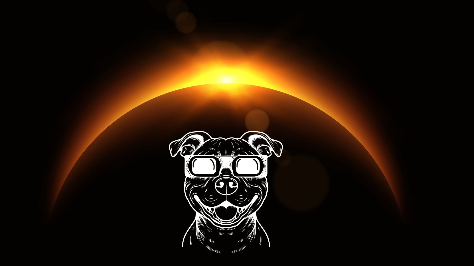 Pablo, adiestrador canino, sobre el eclipse solar: “Los perros también pueden sufrir daños en la retina si miran directamente al Sol”