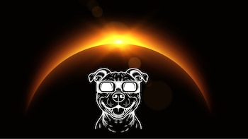 Pablo, adiestrador canino, sobre el eclipse solar: “Los perros también pueden sufrir daños en la retina si miran directamente al Sol”