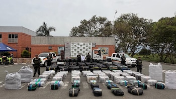 Cayeron casi cuatro toneladas de marihuana en vías del Valle del Cauca: el hombre que fue capturado en el operativo presenta antecedentes judiciales
