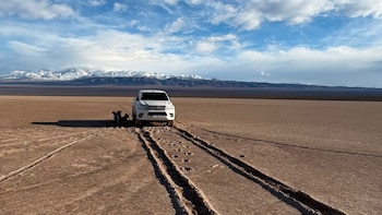 Se conocieron nuevas imágenes que muestran cómo quedó la Pampa del Leoncito tras el paso de una camioneta