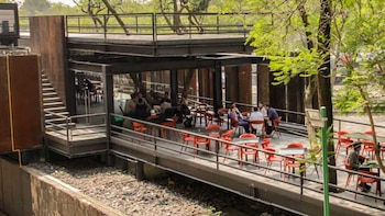 Aunque la Universidad ofrece una