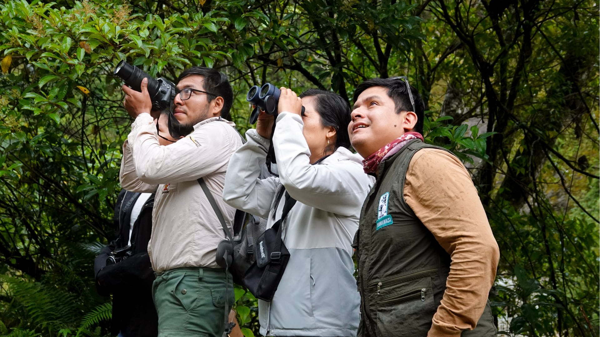 Junín supera las 100 especies de aves registradas durante el Global Big Day 2026. (Foto: FB/@Peru Women Birders)