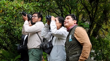 Junín supera las 100 especies de aves registradas durante el Global Big Day 2026. (Foto: FB/@Peru Women Birders)