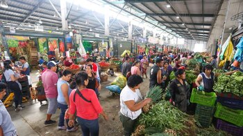 Congress: Exoneration of IGV on