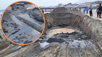 Expertos de la OEFA tomaron