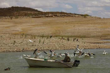 México solo ha entregado poco