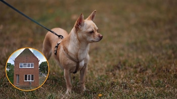 Un hombre pasa un año