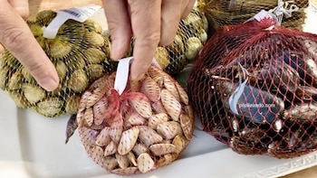 La aplicación de la veda