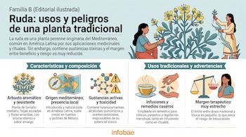 Infografía con ilustraciones de plantas de ruda, figuras humanas, una taza de té, un mapa, estructuras químicas y una balanza.