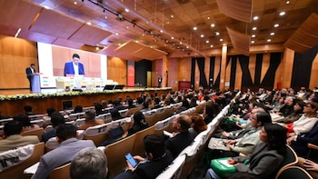 Expertos destacan la urgencia de