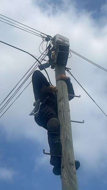 Las autoridades pidieron denunciar la