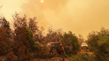 Incendios en la Patagonia: el