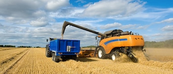 La cosecha obtenida en Brasil