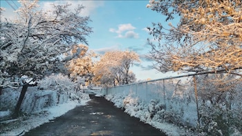 Ciudadanos compartieron fotos de las
