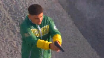 Demencial ataque en Mar del