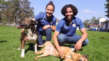Los jugadores de Pumas, Desirée