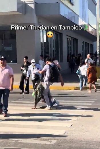 Comentarios en redes van desde