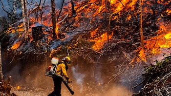 La alianza entre Guatemala y México que busca cerrar brechas ante una temporada de incendios cada vez más extrema